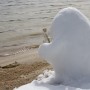שלג בסרטון האנימציה בקבוק של קירסטן לפור